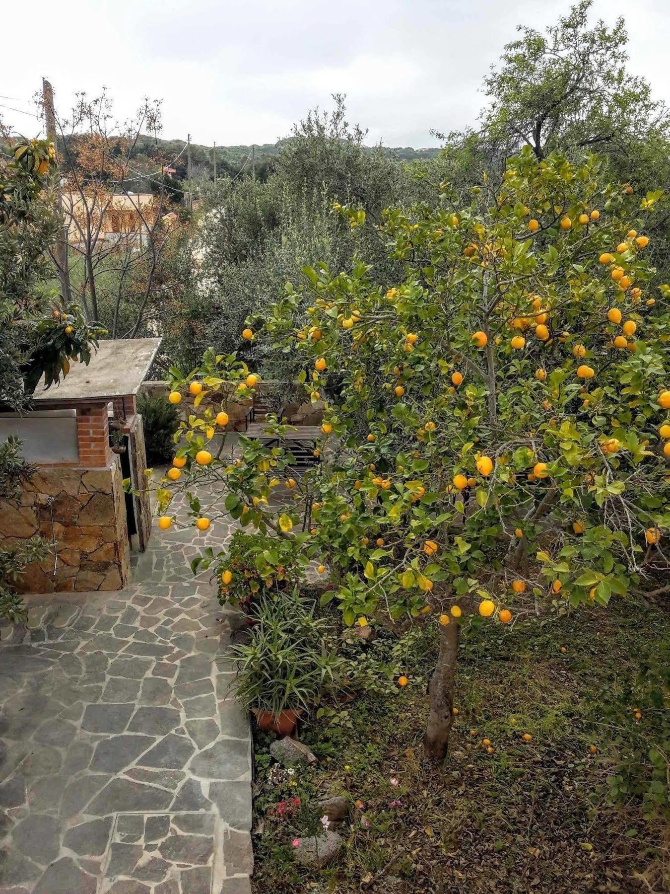 Villa Arancio Giorgio Cala Liberotto Buitenkant foto